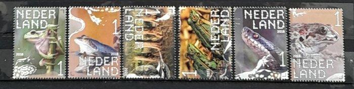 Nederland 2018/2021 - SCHITTERENDE COLLECTIE 30 X BELEEF DE, Postzegels en Munten, Postzegels | Nederland