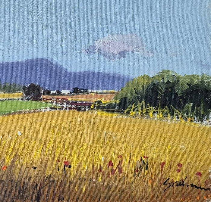 Antoni Maria Sadurní (1927-2014) - Paisaje, Antiek en Kunst, Kunst | Designobjecten