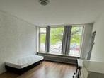 Kamer Statenlaan in Tilburg, Overige soorten, Noord-Brabant