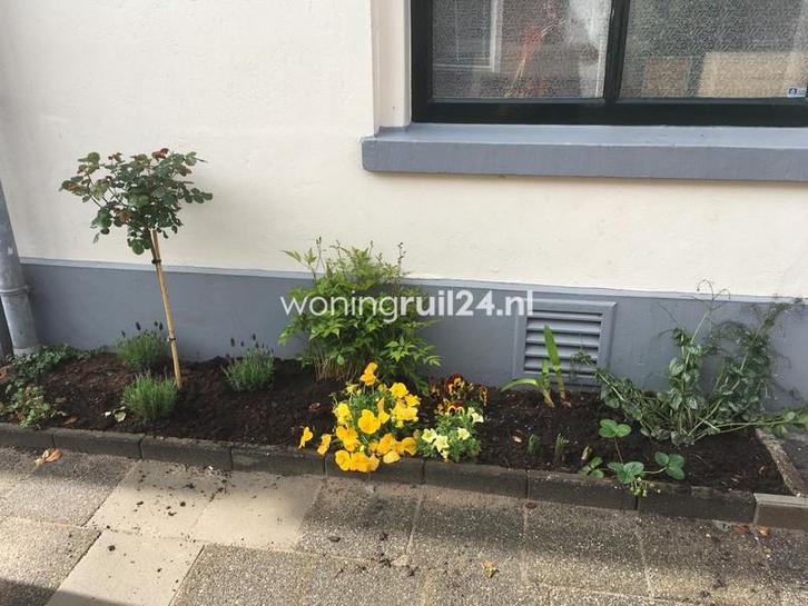 Woningruil - Eekwal 13 - 3 kamers en Overijssel, Huizen en Kamers, Woningruil, Overijssel