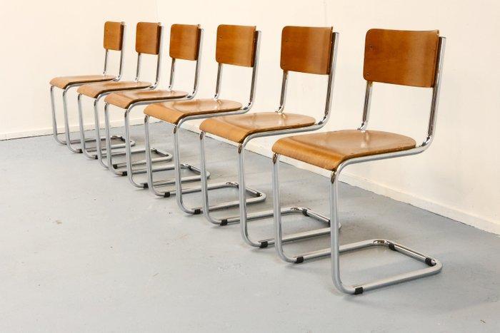 Mart Stam - Eetkamerstoel (6) - S43 - Hout, Staal, Chroom, Antiek en Kunst, Curiosa en Brocante