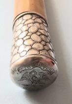 Wandelstok - Zilver - Zilver en Malakka
