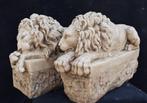 sculptuur, Coppia leoni - 16 kg - 31 cm - Herstel van