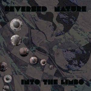 LP gebruikt - Reversed Nature - Into The Limbo, Cd's en Dvd's, Vinyl | Rock, Zo goed als nieuw, Verzenden
