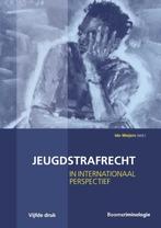 Jeugdstrafrecht 9789462360006, Boeken, Zo goed als nieuw