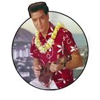 Elvis Presley - Blue Hawaii Picture Disc, Verzenden, Nieuw in verpakking