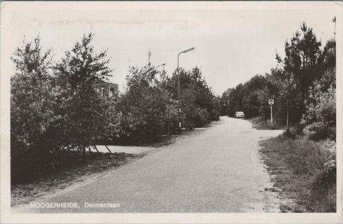 HOOGERHEIDE - Dennenlaan, Verzamelen, Ansichtkaarten | Nederland, Verzenden