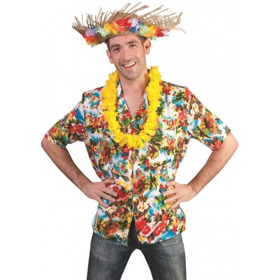 Hawaii kleding shirt heren - Hawaii kleding, Kleding | Heren, Carnavalskleding en Feestkleding, Ophalen of Verzenden