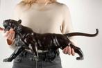 A large and powerful bronze sculpture of a roaring tiger