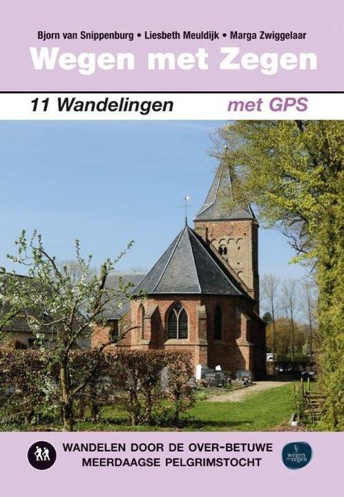 9789038928258 Wegen met zegen Bjorn van Snippenburg, Boeken, Studieboeken en Cursussen, Nieuw, Verzenden