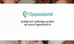 Bregittha zoekt een oppas in Wildervank voor 2 kinderen o...