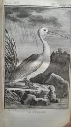 Buffon - Histoire naturelle des oiseaux. Tomes 8 et 16 -, Antiek en Kunst, Antiek | Boeken en Bijbels