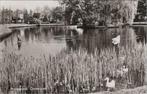 HOOGEZAND - Oosterpark, Verzamelen, Verzenden, Gelopen