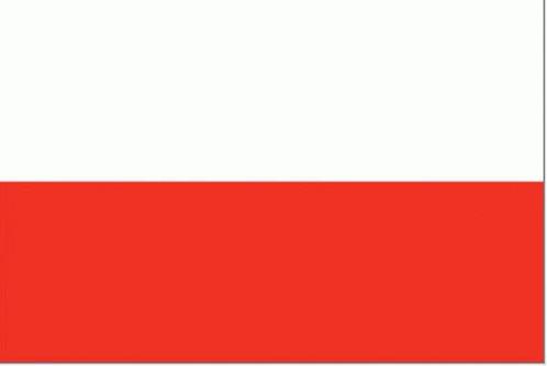 Vlag Polen 20 x 30 cm, Watersport en Boten, Bootonderdelen, Nieuw, Zeilboot of Motorboot, Ophalen of Verzenden