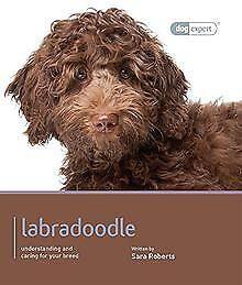 Labradoodle - Dog Expert  Sarah Rogers  Book, Boeken, Taal | Engels, Zo goed als nieuw, Verzenden