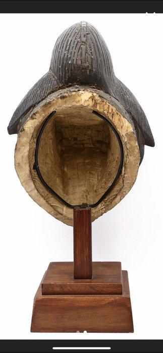 Punu-masker - Punu - Gabon, Antiek en Kunst, Kunst | Niet-Westerse kunst