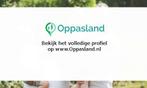 Nienke zoekt een oppas in Hardinxveld-Giessendam voor 2 k..., Vacatures, Profielen | Student zoekt bijbaan of stage