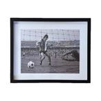 Gesigneerd - Feyenoord - Willem van Hanegem, Nieuw