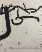 Bernar Venet (1961) - Carborundum