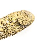 Antieke gouden broche met floraal design, Sieraden, Tassen en Uiterlijk, Broches, Ophalen of Verzenden, Gebruikt, Overige kleuren