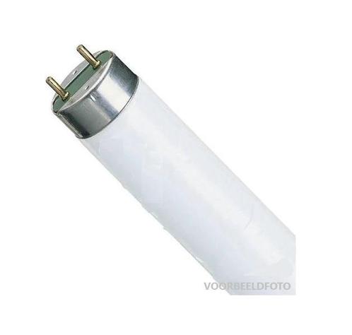 Nieuwe 80 watt TL buizen 145 cm lang - T5 (20 stuks), Doe-het-zelf en Verbouw, Bouwverlichting, Ophalen of Verzenden