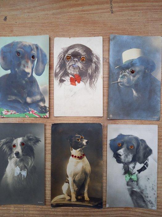 Honden, waaronder ook met echte oogjes en enkele met, Verzamelen, Ansichtkaarten | Buitenland