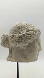sculptuur, Testa greco romana - 31 cm - marmerstof, Antiek en Kunst