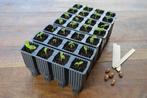 GARLAND 28 CELL DEEP ROOT PLANT CELLS (PLANT & ZORG), Ophalen of Verzenden, Nieuw, Overige typen