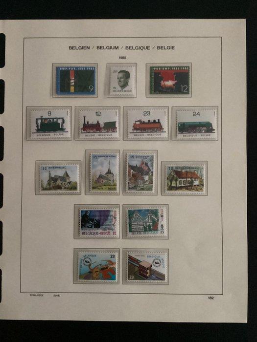 België - Verzameling Postfris 1985-1999 99,9% gevuld in, Postzegels en Munten, Postzegels | Europa | België