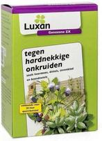 LUXAN GENOXONE ZX 100ML (ONKRUIDBESTRIJDING) (PLANT & ZORG)