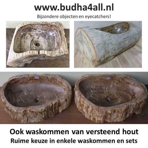 Waskom versteend hout, wasbak, miljoenen jaren oud, uniek