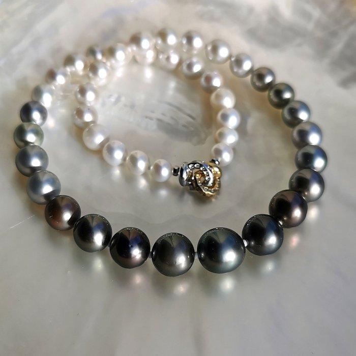 Halsketting - 18 karaat Geel goud Parel - Parel - Tah-Akoya, Sieraden, Tassen en Uiterlijk, Kettingen