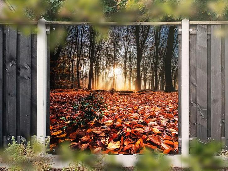 NR 1403: Tuinposter bos herfstkleuren 180x180cm, Tuin en Terras, Tuinwanddecoratie, Nieuw