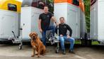 **NIEUWJAAR HUMBAUR VOORRAADAKTIE  PAARDENTRAILERS **, Dieren en Toebehoren, Paarden en Pony's | Trailers en Aanhangwagens, Nieuw