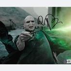 Harry Potter - Signed by Ralph Fiennes (Voldemort), Verzamelen, Film en Tv, Nieuw