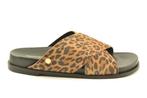 -40% Copenhagen  Copenhagen Cs5798 stylish leo  maat 40, Kleding | Dames, Schoenen, Slippers, Bruin, Verzenden, Nieuw