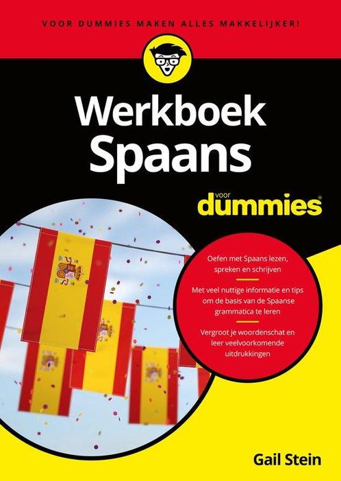 9789045358314 Voor Dummies - Werkboek Spaans voor Dummies, Boeken, Studieboeken en Cursussen, Zo goed als nieuw, Verzenden