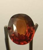 Zonder Minimumprijs Oranje Granaat - 10.16 ct -, Nieuw