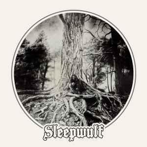 cd - Sleepwulf - Sleepwulf, Cd's en Dvd's, Cd's | Hardrock en Metal, Verzenden