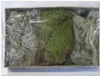 Mos mix doos 500 gram. 3 soorten Mos mix doos, Hobby en Vrije tijd, Knutselen, Ophalen of Verzenden, Nieuw