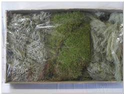 Mos mix doos 500 gram. 3 soorten Mos mix doos, Hobby en Vrije tijd, Knutselen, Nieuw, Ophalen of Verzenden