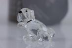 Figuur - Swarovski - Hondje (Boxed + certificate) - Kristal