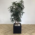kunstplant bamboe met pot, 198 cm hoog - Gratis Bezorging, Huis en Inrichting, Kamerplanten, Ophalen of Verzenden