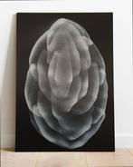 Artur Polar - Idol nº52 - XL