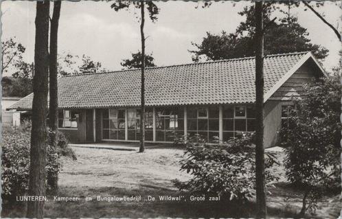 LUNTEREN - Kampeer en Bungalowbedrijf De Wildwal, Grote zaal, Verzamelen, Ansichtkaarten | Nederland, Verzenden