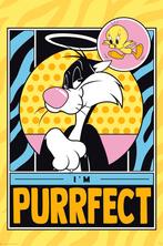 Poster Looney Tunes Tweety and Sylveste 61x91,5cm, Verzenden, Nieuw, A1 t/m A3
