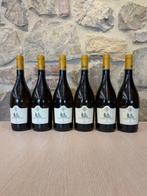 2024 Marchese Antinori, Conte della Vipera - Umbrië - 6, Nieuw