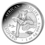 Somalia Leopard 1 oz 2020 (30.000 oplage), Verzenden, Overige landen, Losse munt, Zilver