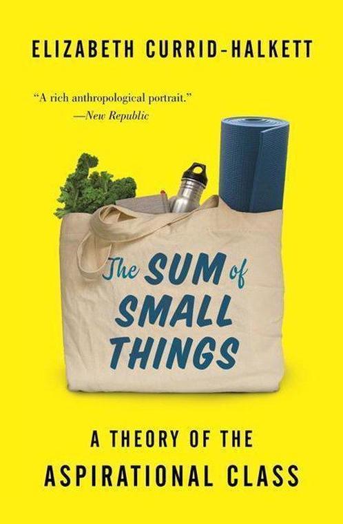 The Sum of Small Things 9780691183176, Boeken, Taal | Engels, Gelezen, Verzenden