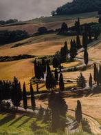 Oliviero Toscani (1942-) - L´Allure Val D´Orcia